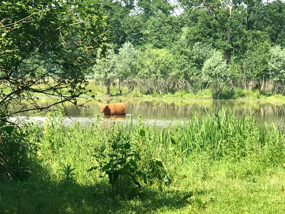 In De Tuin In Gees Villa Luaran gambar