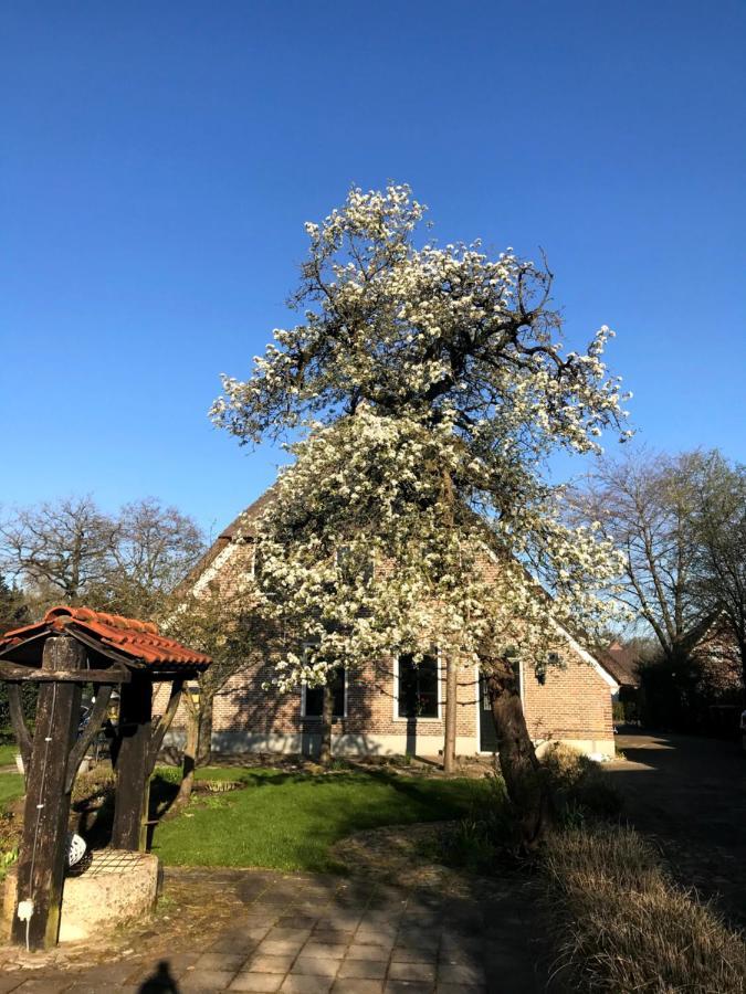 In De Tuin In Gees Villa Luaran gambar